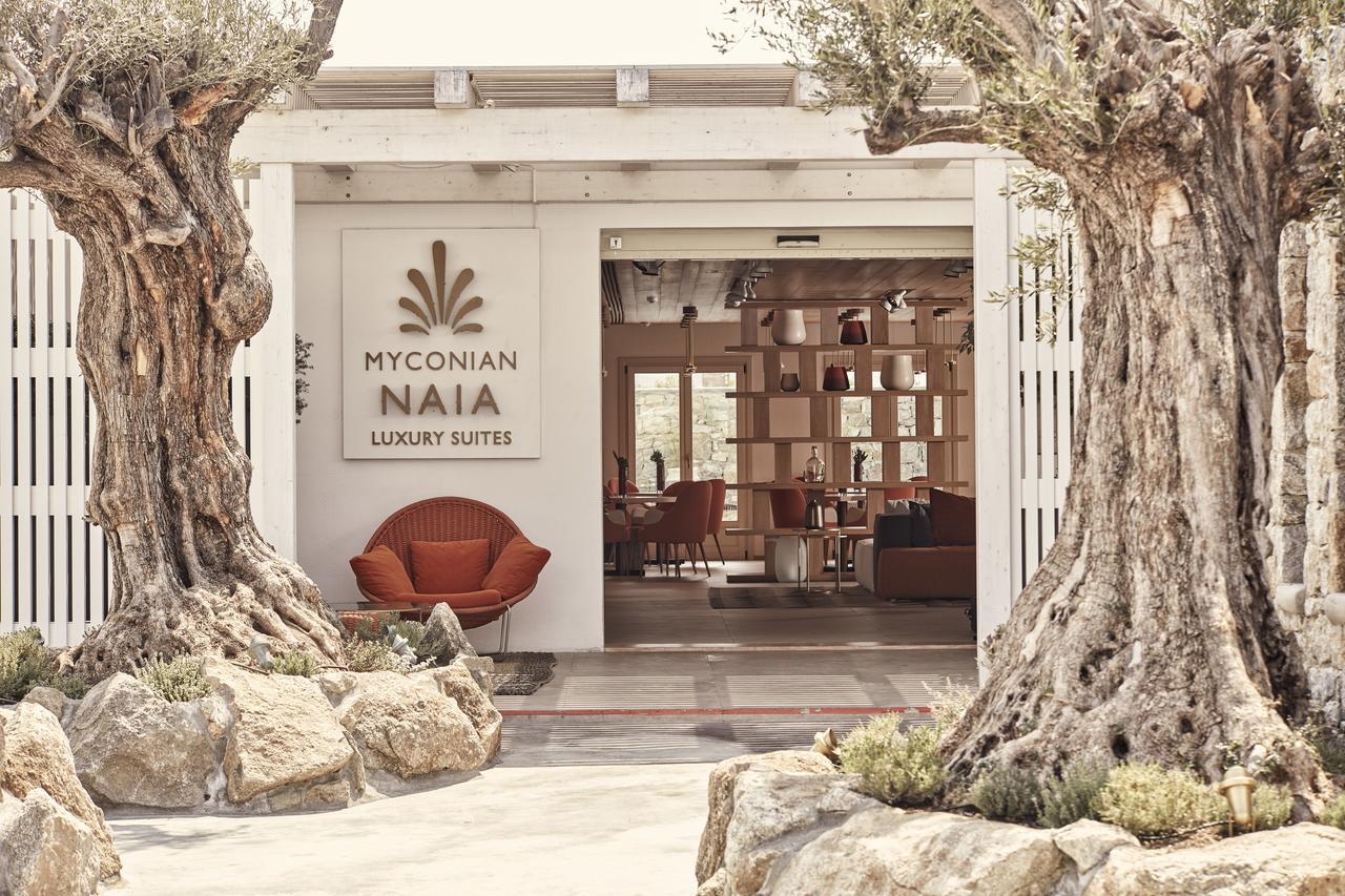 Myconian Naia - Preferred Hotels & Resorts (Adults Only) Mykonos Town Esterno foto